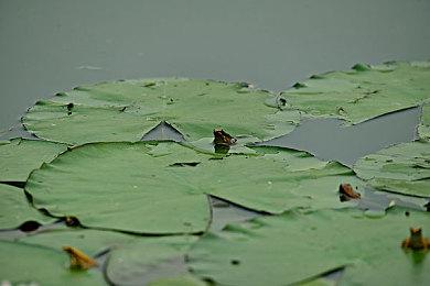 恐怖游戏《SIMULACRA 3》发售 国区售价48元